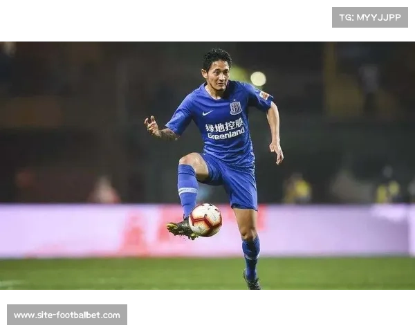 加蓬废除双重国籍禁令 实现归化球员立法突破新篇章 加蓬废除双重国籍禁令 实现归化球员立法突破新篇章